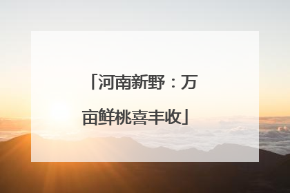 河南新野：万亩鲜桃喜丰收