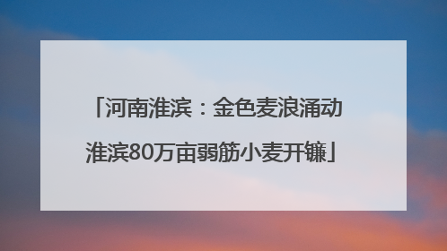 河南淮滨：金色麦浪涌动 淮滨80万亩弱筋小麦开镰