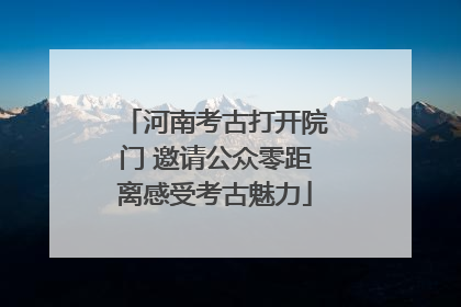 河南考古打开院门 邀请公众零距离感受考古魅力