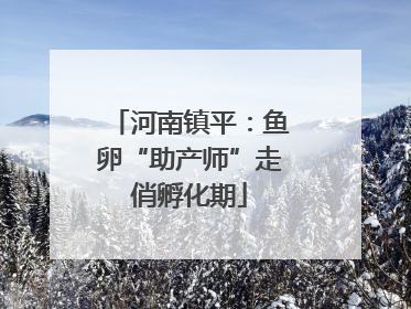 河南镇平：鱼卵“助产师”走俏孵化期
