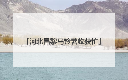 河北昌黎马铃薯收获忙