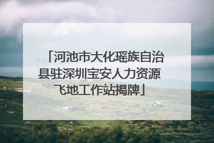 河池市大化瑶族自治县驻深圳宝安人力资源飞地工作站揭牌