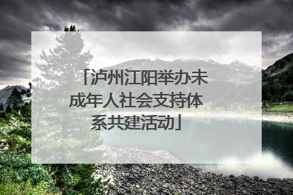 泸州江阳举办未成年人社会支持体系共建活动