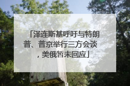 泽连斯基呼吁与特朗普、普京举行三方会谈，美俄暂未回应