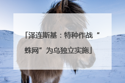 泽连斯基：特种作战“蛛网”为乌独立实施