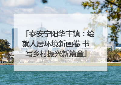 泰安宁阳华丰镇：绘就人居环境新画卷 书写乡村振兴新篇章