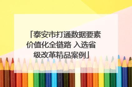 泰安市打通数据要素价值化全链路 入选省级改革精品案例