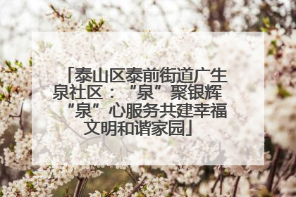 泰山区泰前街道广生泉社区：“泉”聚银辉“泉”心服务共建幸福文明和谐家园