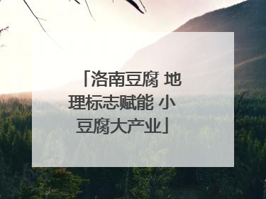 洛南豆腐 地理标志赋能 小豆腐大产业