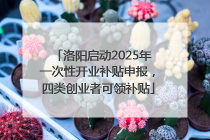 洛阳启动2025年一次性开业补贴申报，四类创业者可领补贴