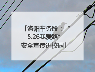 洛阳车务段：“5.26我爱路”安全宣传进校园