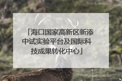 海口国家高新区新添中试实验平台及国际科技成果转化中心