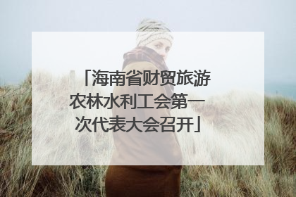 海南省财贸旅游农林水利工会第一次代表大会召开
