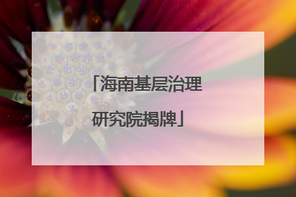 海南基层治理研究院揭牌