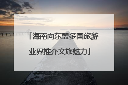 海南向东盟多国旅游业界推介文旅魅力