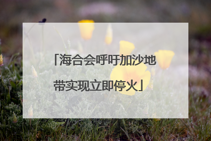 海合会呼吁加沙地带实现立即停火