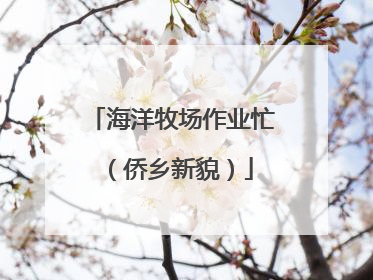海洋牧场作业忙（侨乡新貌）
