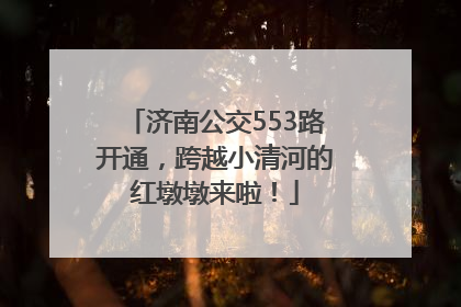 济南公交553路开通，跨越小清河的红墩墩来啦！