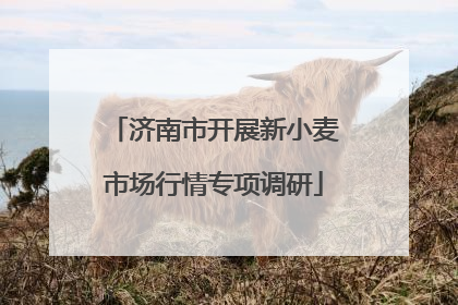 济南市开展新小麦市场行情专项调研