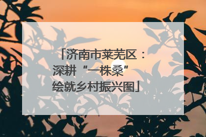 济南市莱芜区：深耕“一株桑” 绘就乡村振兴图