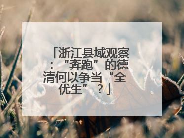 浙江县域观察：“奔跑”的德清何以争当“全优生”？