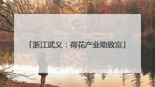 浙江武义：荷花产业助致富