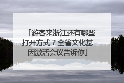 游客来浙江还有哪些打开方式？全省文化基因激活会议告诉你