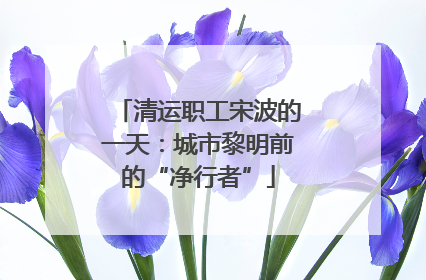 清运职工宋波的一天：城市黎明前的“净行者”