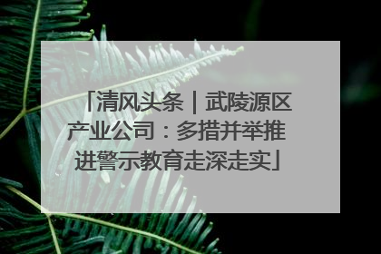 清风头条｜武陵源区产业公司：多措并举推进警示教育走深走实