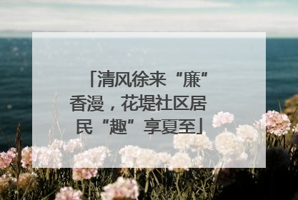 清风徐来“廉”香漫，花堤社区居民“趣”享夏至