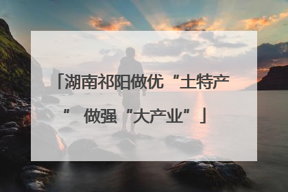 湖南祁阳做优“土特产” 做强“大产业”