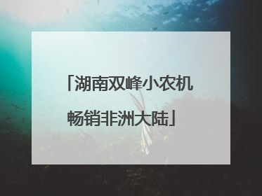湖南双峰小农机畅销非洲大陆