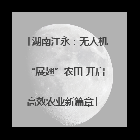湖南江永：无人机“展翅”农田 开启高效农业新篇章