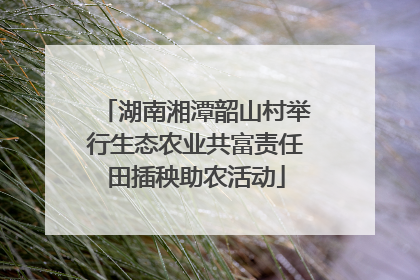 湖南湘潭韶山村举行生态农业共富责任田插秧助农活动