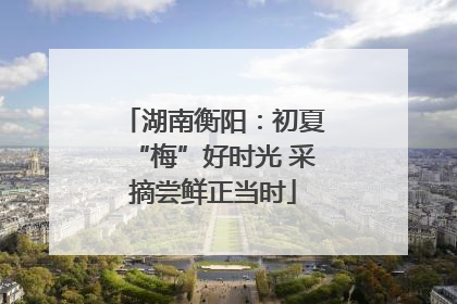 湖南衡阳：初夏“梅”好时光 采摘尝鲜正当时