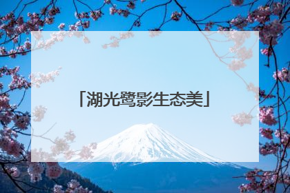 湖光鹭影生态美