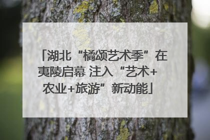 湖北“橘颂艺术季”在夷陵启幕 注入“艺术+农业+旅游”新动能