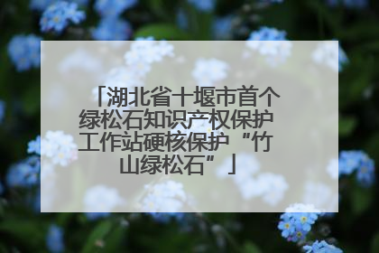 湖北省十堰市首个绿松石知识产权保护工作站硬核保护“竹山绿松石”