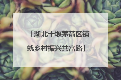 湖北十堰茅箭区铺就乡村振兴共富路