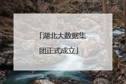 湖北大数据集团正式成立