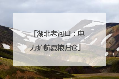 湖北老河口：电力护航夏粮归仓