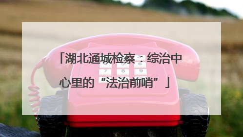 湖北通城检察：综治中心里的“法治前哨”