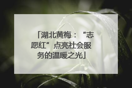 湖北黄梅：“志愿红”点亮社会服务的温暖之光
