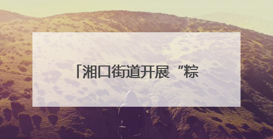 湘口街道开展“粽香话文明 邻里一家亲”端午节活动