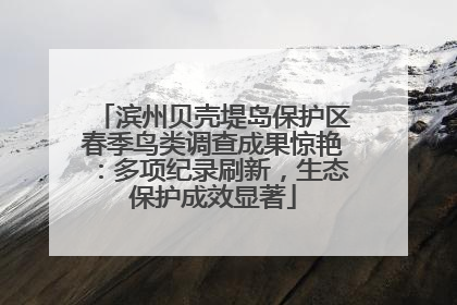 滨州贝壳堤岛保护区春季鸟类调查成果惊艳：多项纪录刷新，生态保护成效显著