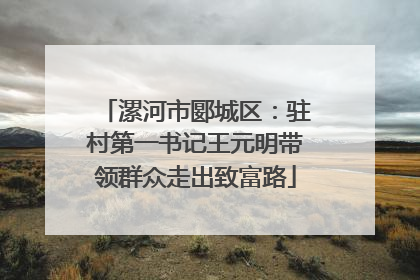 漯河市郾城区：驻村第一书记王元明带领群众走出致富路