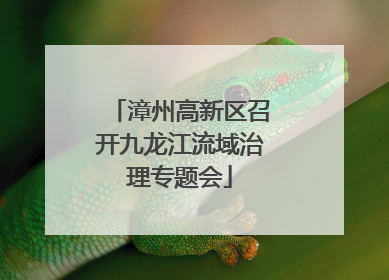 漳州高新区召开九龙江流域治理专题会