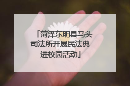 菏泽东明县马头司法所开展民法典进校园活动