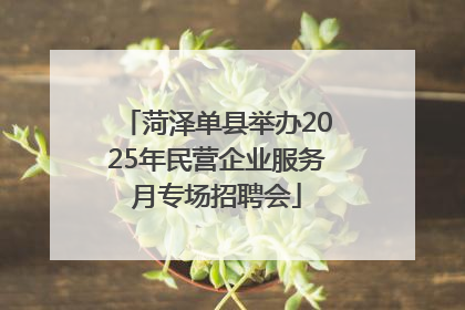 菏泽单县举办2025年民营企业服务月专场招聘会