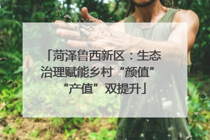 菏泽鲁西新区：生态治理赋能乡村“颜值”“产值”双提升